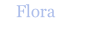 Flora