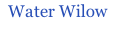 Water Wilow